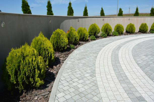 Reasons to Select Us for Your Driveway Paving Requirements in Biloxi, MS